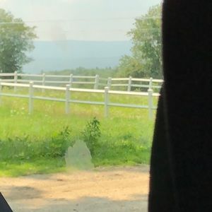 Meet your Posher, Vicki